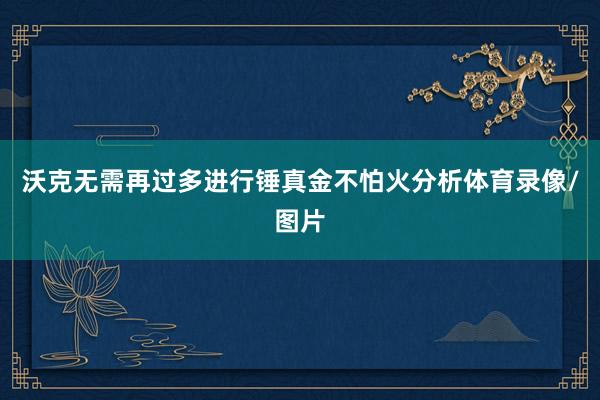 沃克无需再过多进行锤真金不怕火分析体育录像/图片