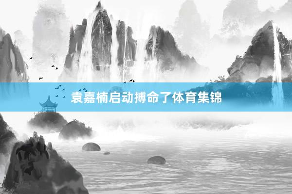 袁嘉楠启动搏命了体育集锦