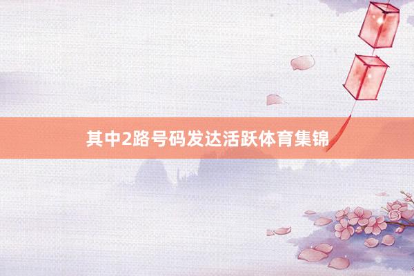 其中2路号码发达活跃体育集锦