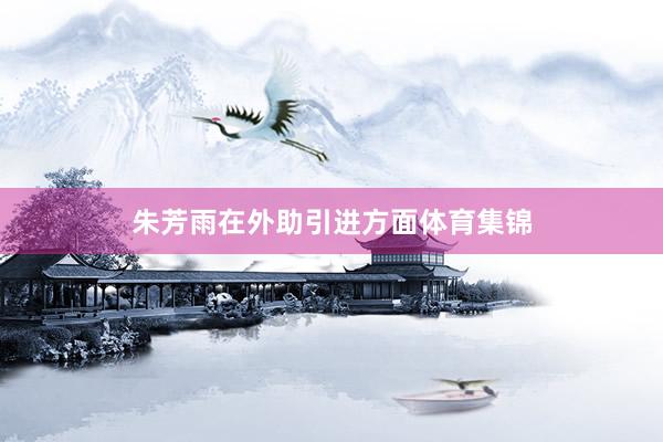 朱芳雨在外助引进方面体育集锦