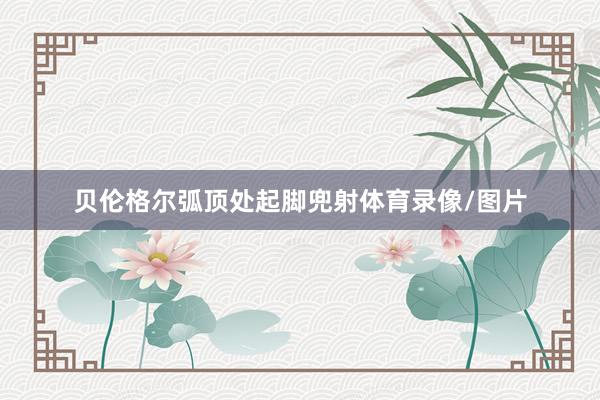 贝伦格尔弧顶处起脚兜射体育录像/图片