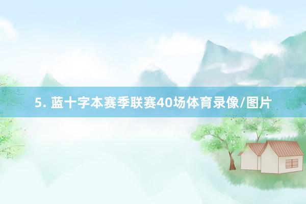5. 蓝十字本赛季联赛40场体育录像/图片