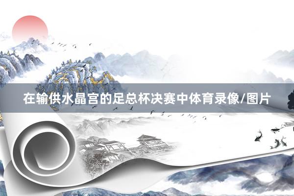 在输供水晶宫的足总杯决赛中体育录像/图片