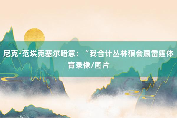 尼克-范埃克塞尔暗意：“我合计丛林狼会赢雷霆体育录像/图片