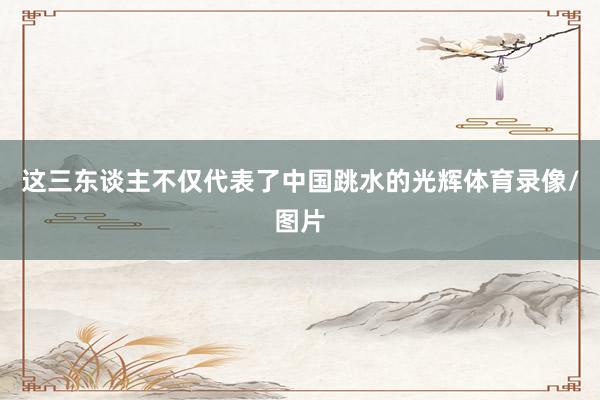 这三东谈主不仅代表了中国跳水的光辉体育录像/图片