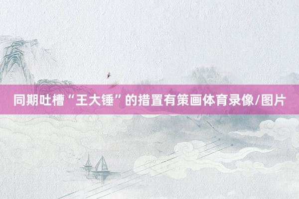 同期吐槽“王大锤”的措置有策画体育录像/图片