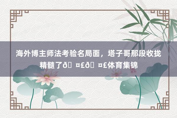 海外博主师法考验名局面，塔子哥那段收拢精髓了🤣🤣体育集锦