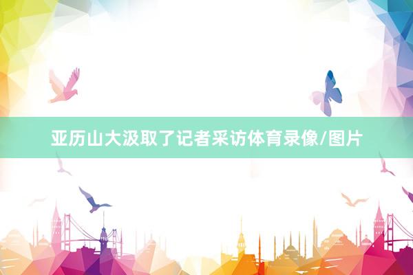 亚历山大汲取了记者采访体育录像/图片