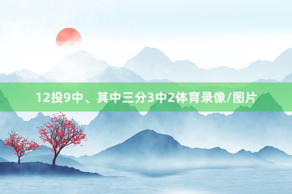 12投9中、其中三分3中2体育录像/图片