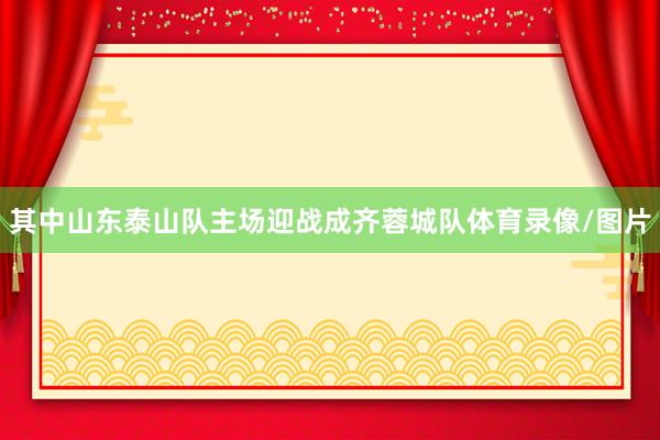 其中山东泰山队主场迎战成齐蓉城队体育录像/图片