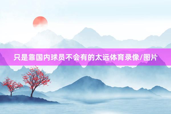 只是靠国内球员不会有的太远体育录像/图片