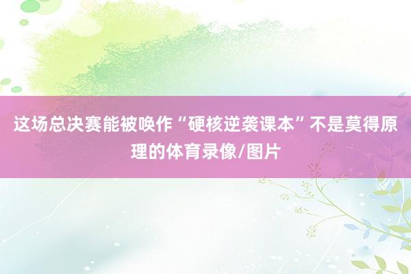这场总决赛能被唤作“硬核逆袭课本”不是莫得原理的体育录像/图片