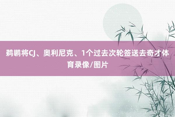 鹈鹕将CJ、奥利尼克、1个过去次轮签送去奇才体育录像/图片