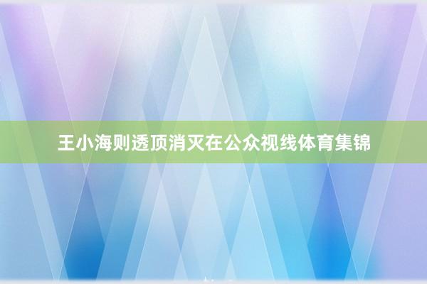 王小海则透顶消灭在公众视线体育集锦