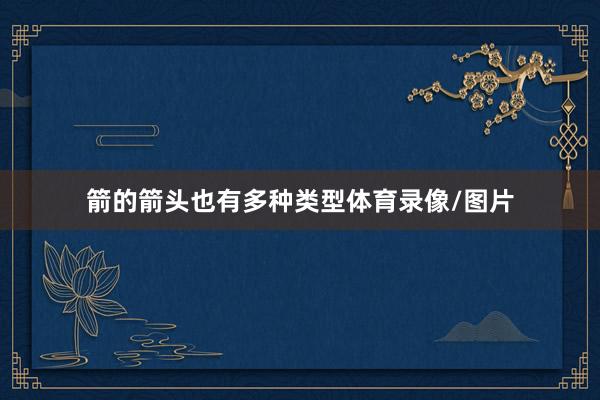 箭的箭头也有多种类型体育录像/图片