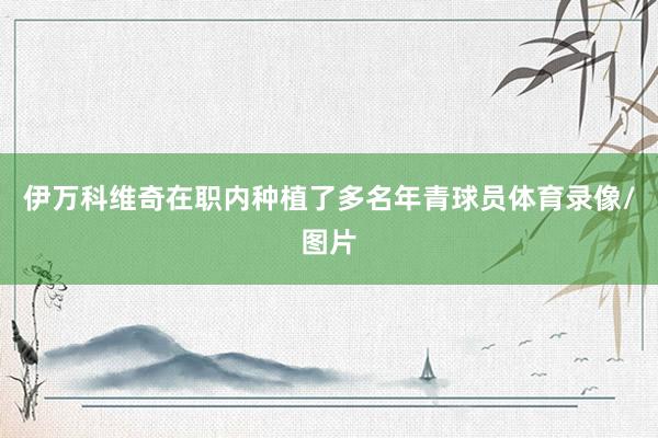 伊万科维奇在职内种植了多名年青球员体育录像/图片
