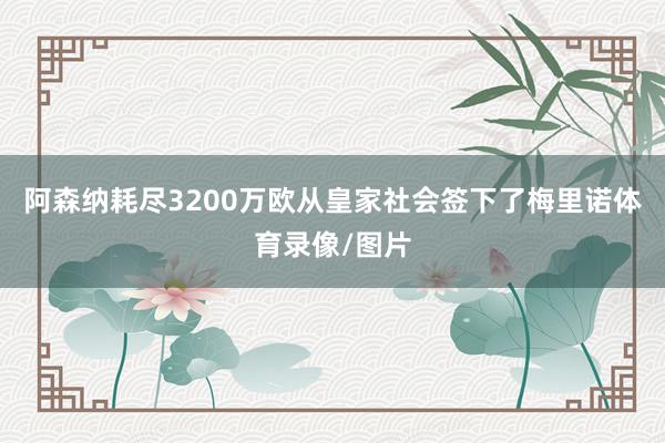阿森纳耗尽3200万欧从皇家社会签下了梅里诺体育录像/图片