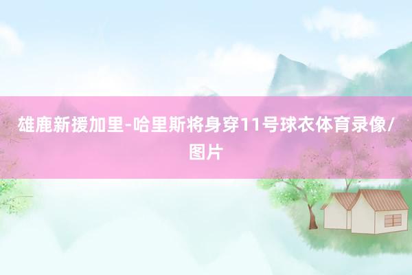 雄鹿新援加里-哈里斯将身穿11号球衣体育录像/图片