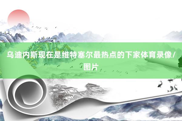 乌迪内斯现在是维特塞尔最热点的下家体育录像/图片