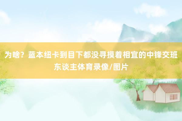 为啥？蓝本纽卡到目下都没寻摸着相宜的中锋交班东谈主体育录像/图片