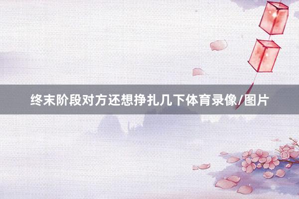 终末阶段对方还想挣扎几下体育录像/图片