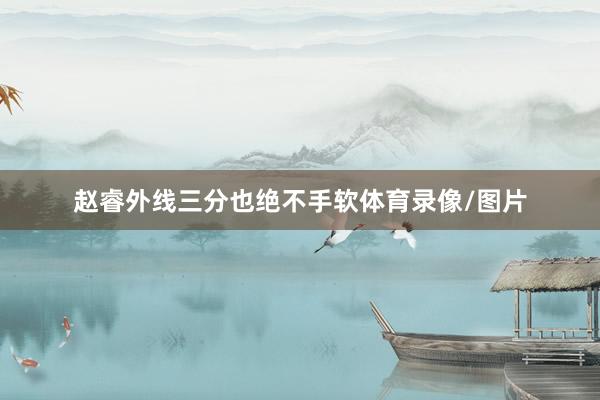 赵睿外线三分也绝不手软体育录像/图片