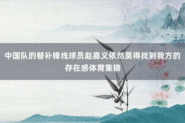 中国队的替补锋线球员赵嘉义依然莫得找到我方的存在感体育集锦