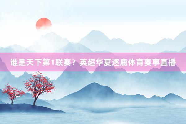 谁是天下第1联赛？英超华夏逐鹿体育赛事直播