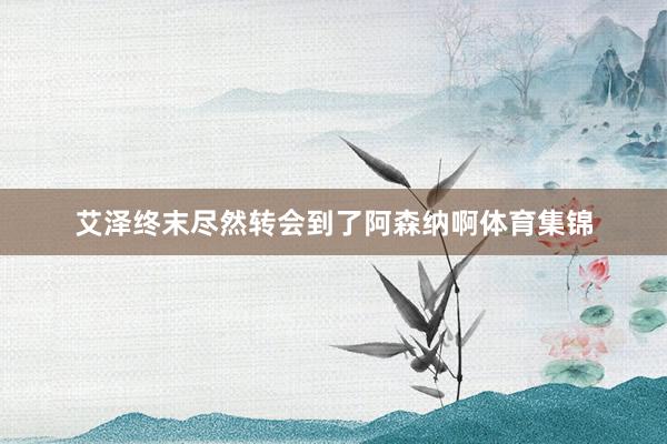 艾泽终末尽然转会到了阿森纳啊体育集锦