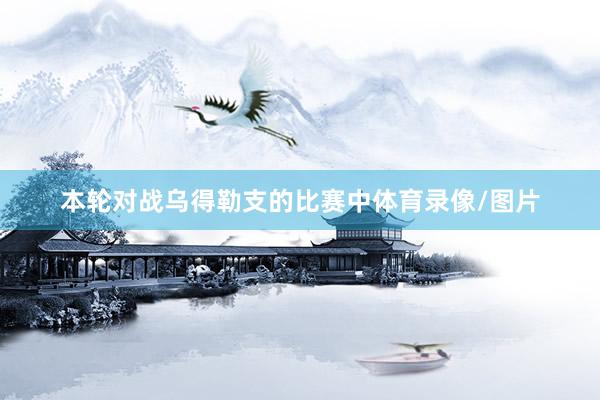 本轮对战乌得勒支的比赛中体育录像/图片