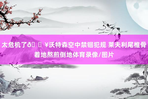太危机了😥沃特森空中禁锢犯规 莱夫利尾椎骨着地熬煎倒地体育录像/图片