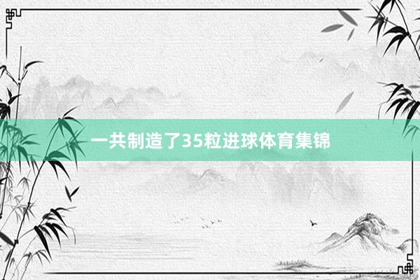 一共制造了35粒进球体育集锦