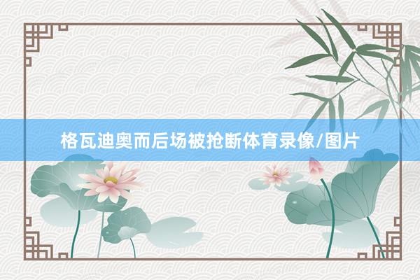 格瓦迪奥而后场被抢断体育录像/图片