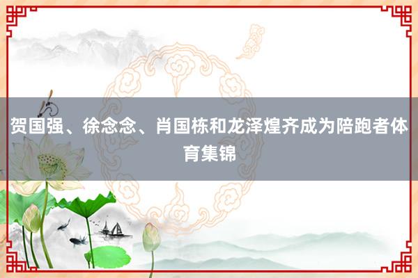 贺国强、徐念念、肖国栋和龙泽煌齐成为陪跑者体育集锦