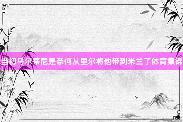 当初马尔蒂尼是奈何从里尔将他带到米兰了体育集锦