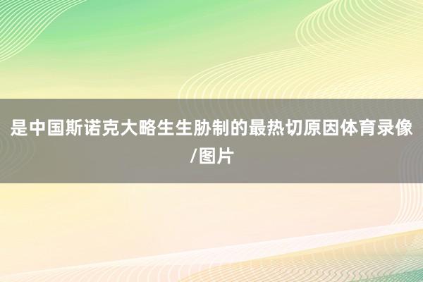是中国斯诺克大略生生胁制的最热切原因体育录像/图片