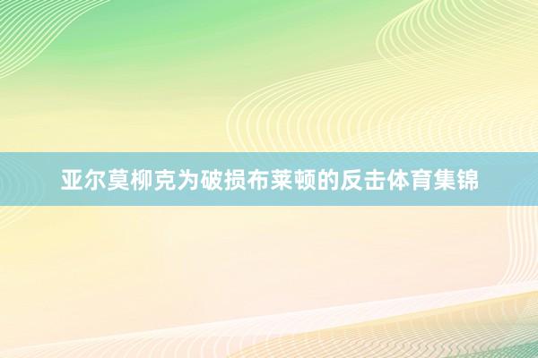亚尔莫柳克为破损布莱顿的反击体育集锦