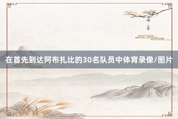 在首先到达阿布扎比的30名队员中体育录像/图片