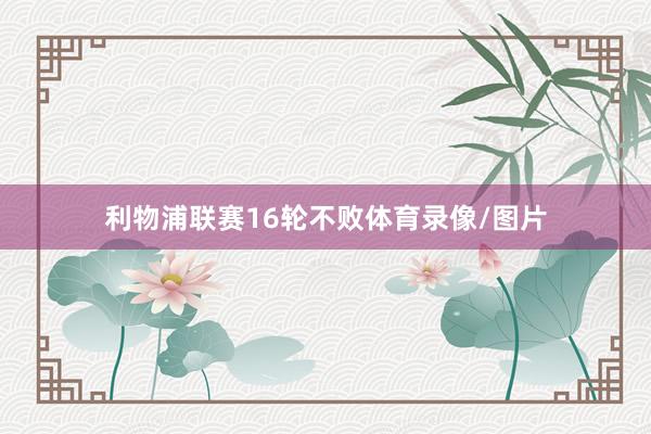 利物浦联赛16轮不败体育录像/图片