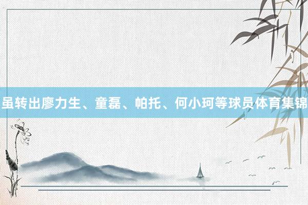 虽转出廖力生、童磊、帕托、何小珂等球员体育集锦