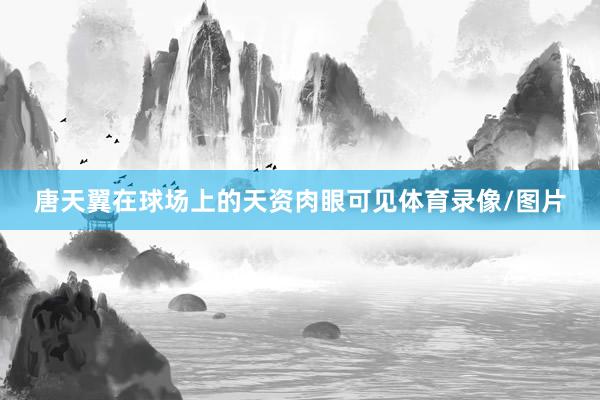 唐天翼在球场上的天资肉眼可见体育录像/图片