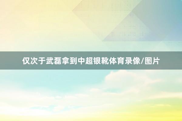 仅次于武磊拿到中超银靴体育录像/图片