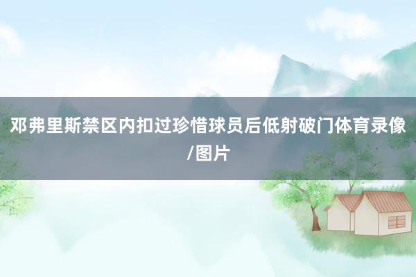 邓弗里斯禁区内扣过珍惜球员后低射破门体育录像/图片