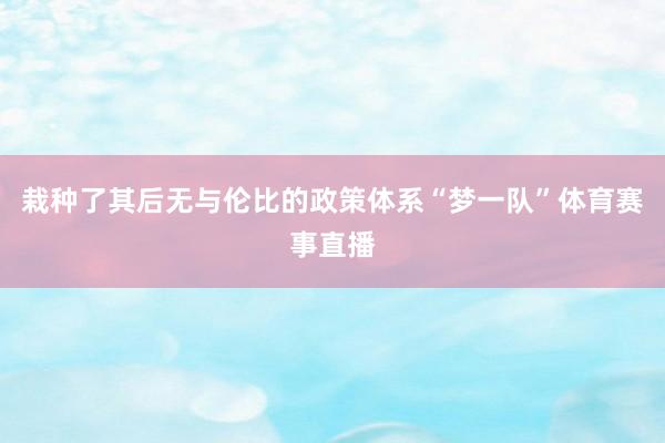 栽种了其后无与伦比的政策体系“梦一队”体育赛事直播