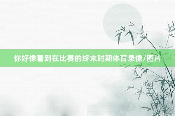 你好像看到在比赛的终末时期体育录像/图片