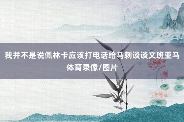 我并不是说佩林卡应该打电话给马刺谈谈文班亚马体育录像/图片