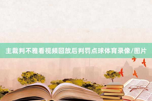 主裁判不雅看视频回放后判罚点球体育录像/图片