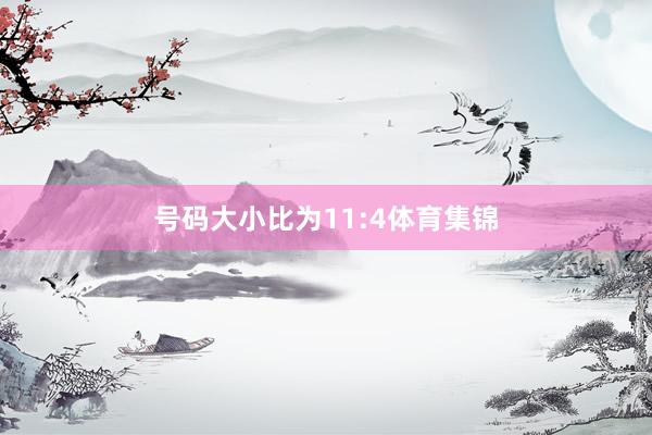 号码大小比为11:4体育集锦