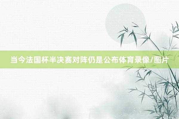 当今法国杯半决赛对阵仍是公布体育录像/图片