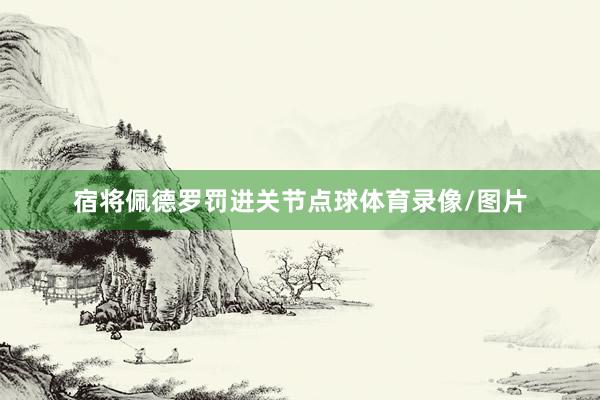 宿将佩德罗罚进关节点球体育录像/图片